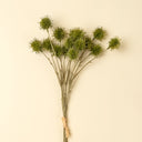 Chestnut Ball Bouquet