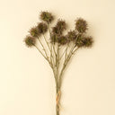 Chestnut Ball Bouquet
