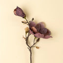 Magnolia Branch