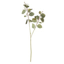 SILVER DOLLAR EUCALYPTUS BRANCH 32"