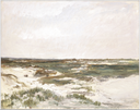 The Dunes | Overstock