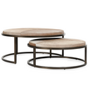 Hayword Hide Set of 2 Nesting Coffee Tables