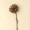 Dahlia Real Touch Stem