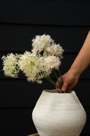 Allium Floral Spray | Cream