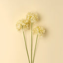 Allium Floral Spray | Cream