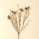 Wispy Twig Spray
