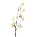 Pear Blossom Branch