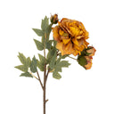 Peony Floral Stem
