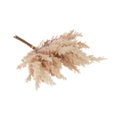 Pampas Grass Bundle | Blush