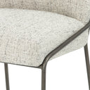 Astrud Counter Stool - Lyon Pewter