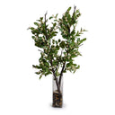 Holly Branch with Berries in Glass 38"