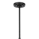 Artemis Chandelier | Oil Rubbed Bronze | Champagne Glass