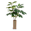 Fig Branches w/ Fruits in Vase 36"H Terracotta