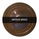 Shell Brass Wall Sconce