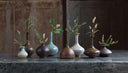 Porcelain Bud Vases | Set of 8