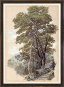 Corpo Di Cava 1839 | 11.25" x 15.25"