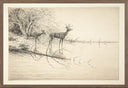 White Tails in the Morning 1889 | 13" x 9"