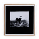 Blank Horse by Annie Spratt - Photo Paper