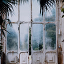 Greenhouse II by Annie Spratt - Walnut 2.5