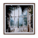 Greenhouse II by Annie Spratt - Walnut 2.5