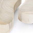 Avett Coffee Table Set - Bleached Guanacaste Oyster