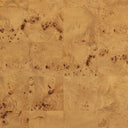 Jenson Coffee Table - Natural Poplar Burl Veneer