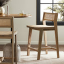 Clarita Counter Stool - White Wash Mango
