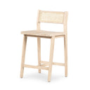 Clarita Counter Stool - White Wash Mango