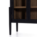 Tolle Cabinet - Drifted Matte Black Veneer