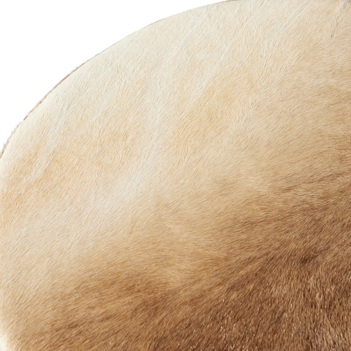 Nocona Counter Stool - Speckled Hide