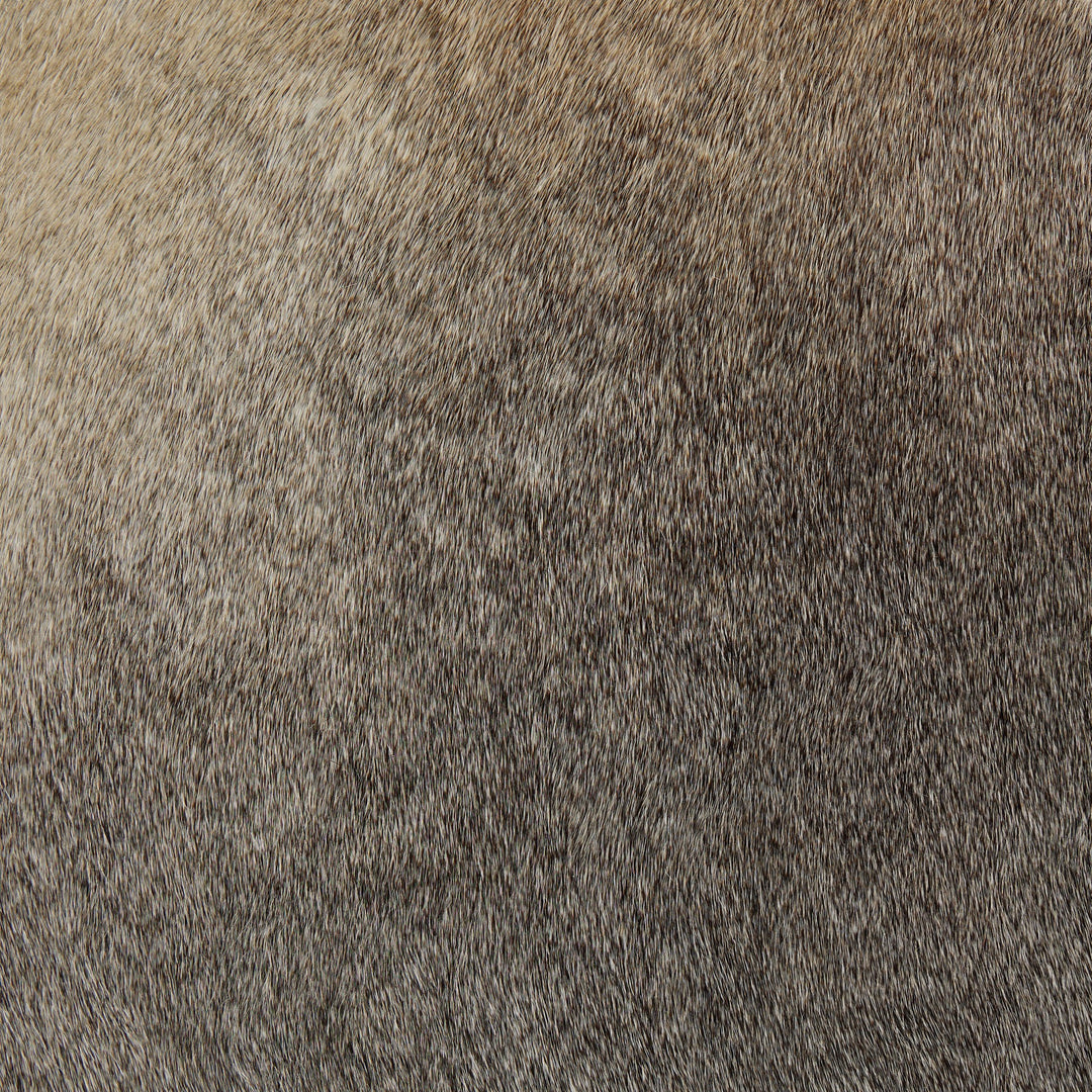 Nocona Bar Stool - Black & White Speckled Hide