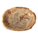 Oval Petrified Wood Bowl - Light Petrified Wood