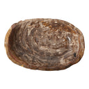 Oval Petrified Wood Bowl - Light Petrified Wood