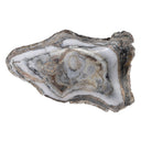 Oval Petrified Wood Bowl - Light Petrified Wood