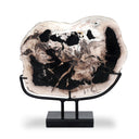 Petrified Wood Sculpture - Matte Black Iron