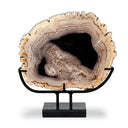 Petrified Wood Sculpture - Matte Black Iron