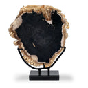 Petrified Wood Sculpture - Matte Black Iron