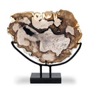 Petrified Wood Sculpture - Matte Black Iron