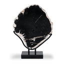 Petrified Wood Sculpture - Matte Black Iron