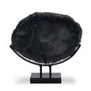 Petrified Wood Sculpture - Matte Black Iron