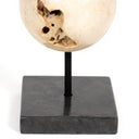 Organic Stone Sculptures, Set Of 3 - Black Marble