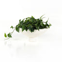 Pressler Outdoor Planter, Set Of 2 - Plaster Molded Concrete