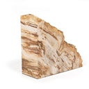 Petrified Wood Book Ends - Light Petrified Wood