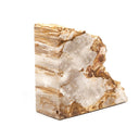 Petrified Wood Book Ends - Light Petrified Wood