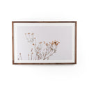 In The Details I by Annie Spratt - Rustic 2.5 Walnut