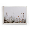 In The Details II by Annie Spratt - Rustic 2.5 Walnut