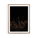 Escape I by Annie Spratt - Rustic 2.5 Walnut