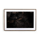 Char XI by FH Art Studio - Rustic 2.5 Walnut