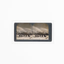 Monarch Of The Plain by Gold Rush Art Co - Rustic 1.5 Walnut