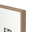 Swiss Alps by Gold Rush Art Co - Rustic 1.5 Walnut